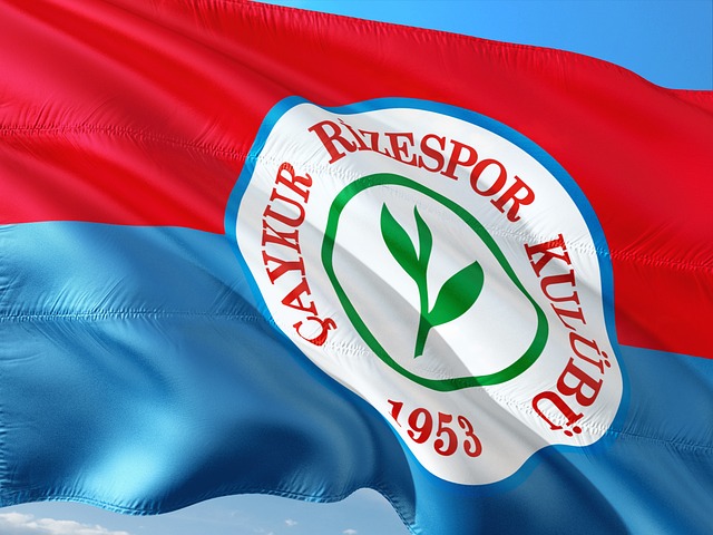 亚冠二积分榜：国安拿到3分上升至第三，麦克阿瑟升至榜首