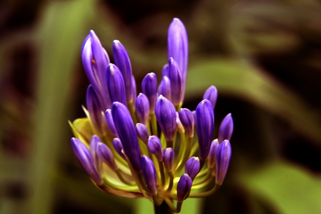 奥乌苏去津门虎？于根伟：目前不可能敲定引援，别轻信传闻