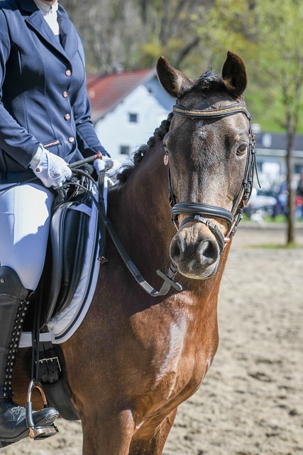不看好邵佳一执教国足❗详细介绍邵佳一履历❗